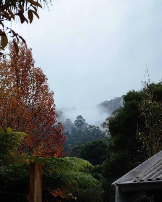 Harrys House Warburton - Peaceful Riverside Cottage In The Perfect Location Exterior foto